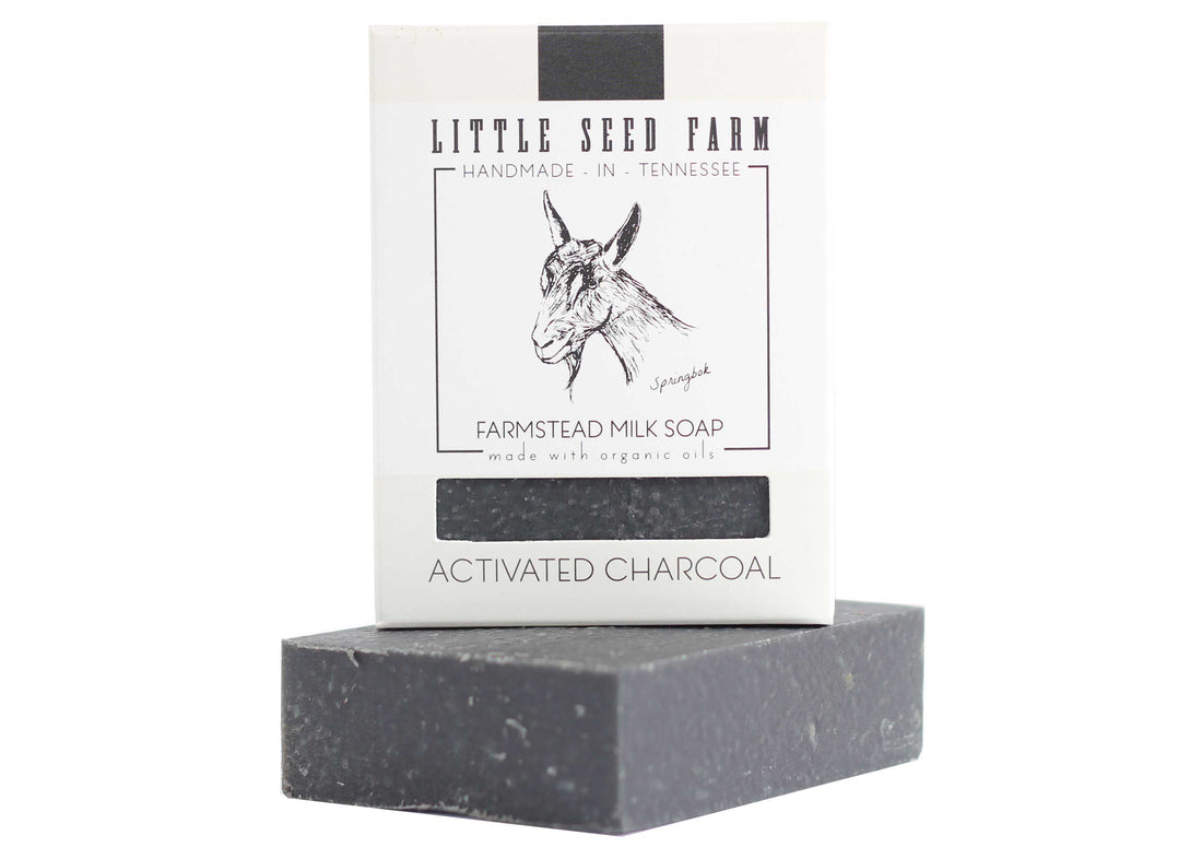 Activated Charcoal Facial &amp; Body Bar Soap
